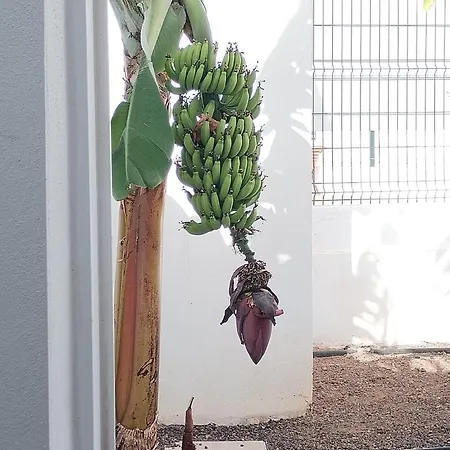 House At Sunny Tenerife * Арона